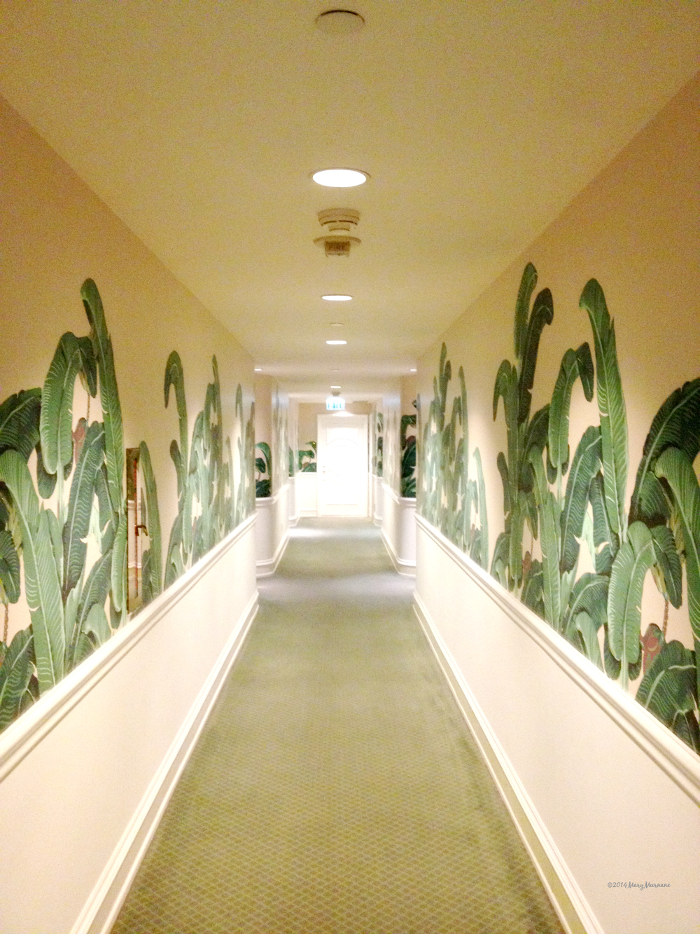 Beverly Hills Hotel Wallpaper Hallway - Beverly Hills Hotel Polo Bar - HD Wallpaper 