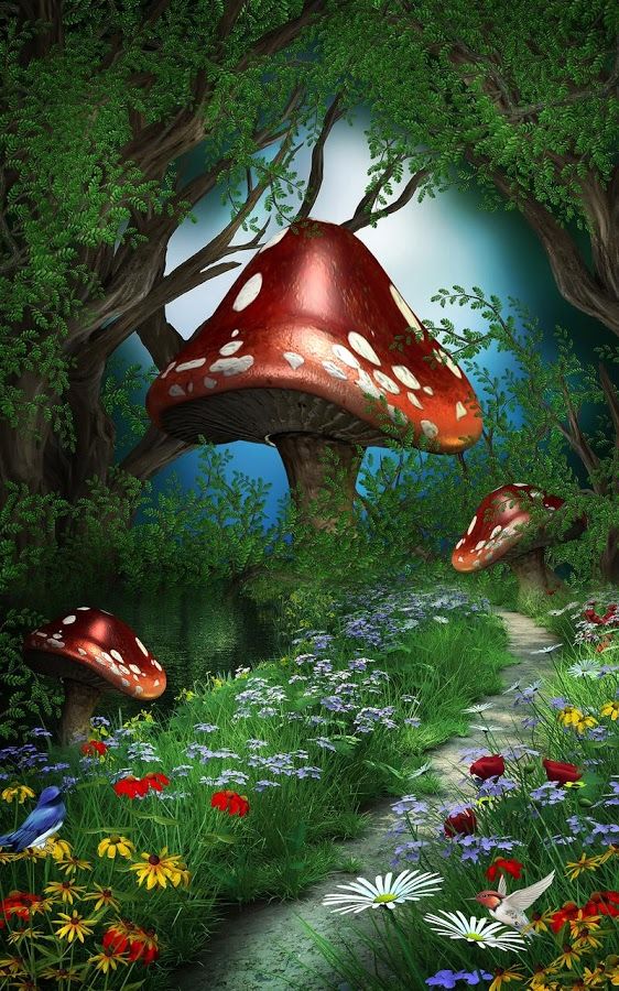 Fairytale Phone Background - HD Wallpaper 
