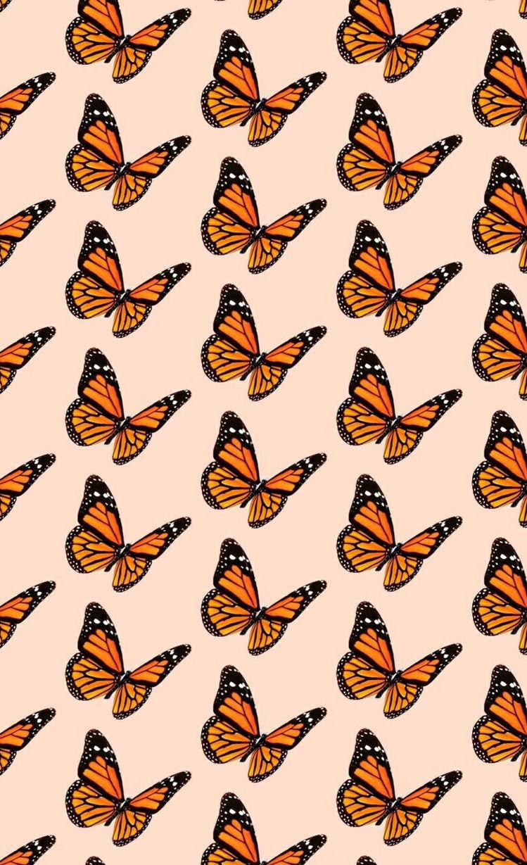 Mariposas, Wallpaper, And Wallpapers Image - Vsco Backgrounds Butterfly - HD Wallpaper 