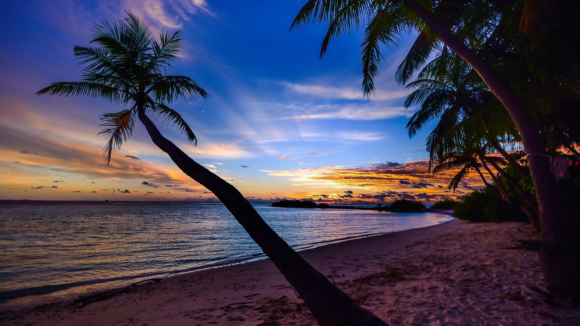 Beach Sunset Wallpaper - Palm Tree Beach Sunset - HD Wallpaper 