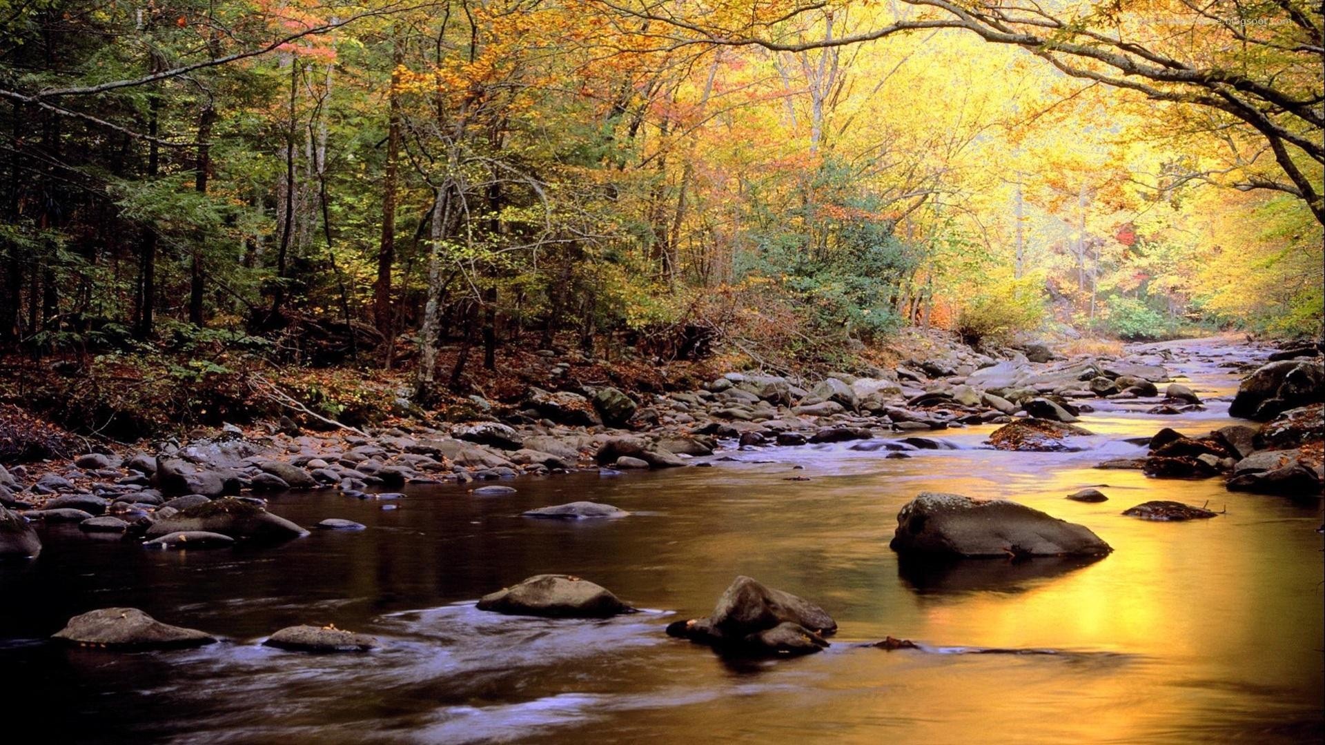 Ultra Hd River Wallpapers - 1920x1080 Wallpaper Ultra Hd River Wallpapers - 1920x1080 Wallpaper