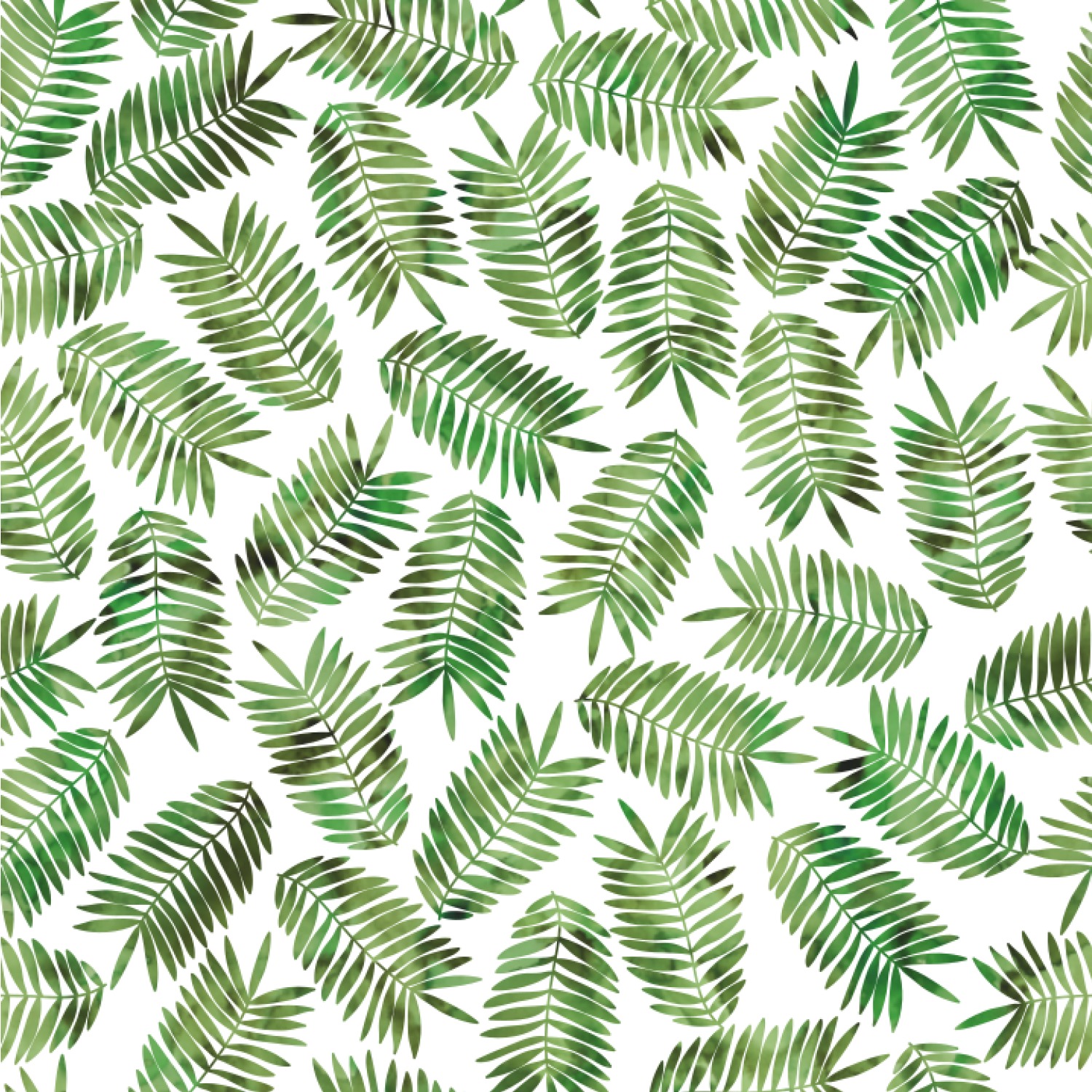 Fern - HD Wallpaper 