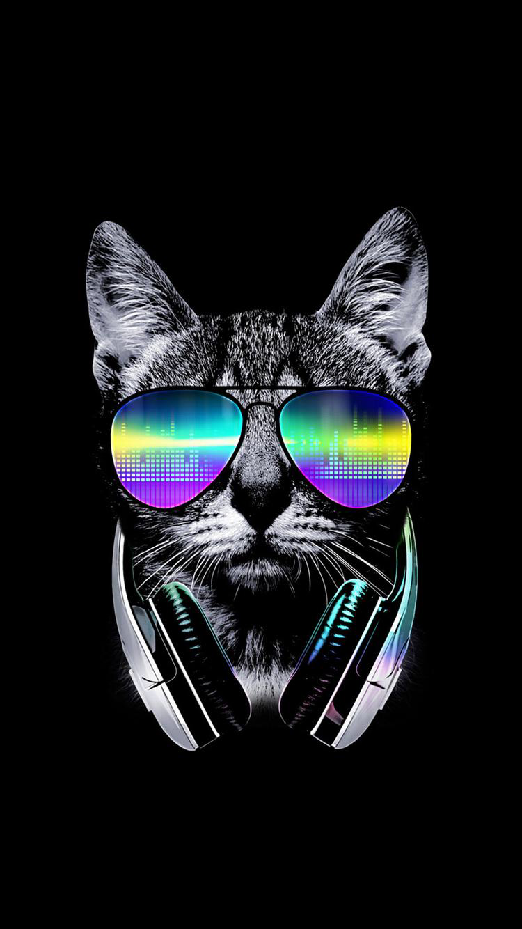Cat Dj - 750x1334 Wallpaper Cat Dj - 750x1334 Wallpaper