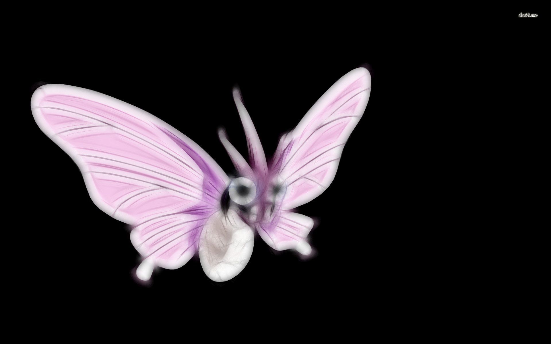 Fairy - HD Wallpaper 