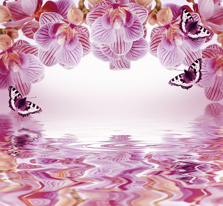 Pink Flowers And Butterflies Wallpaper, Butterfly, - Imagini De Fundal Flori - HD Wallpaper 