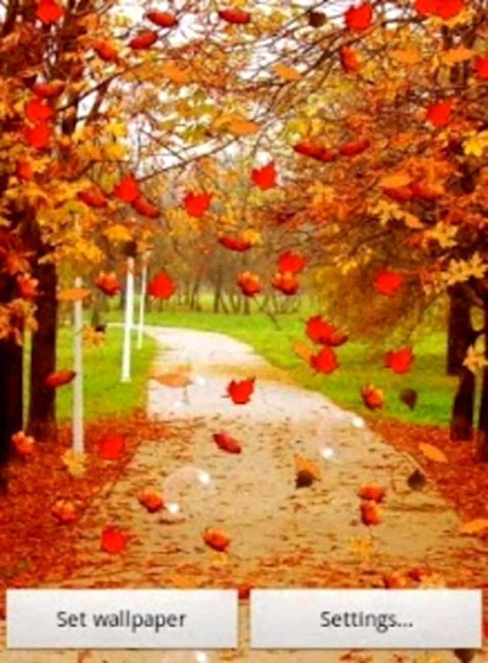 Autumn Live Wallpaper Free For Android Download - Autumn Falling Leaves Live - HD Wallpaper 