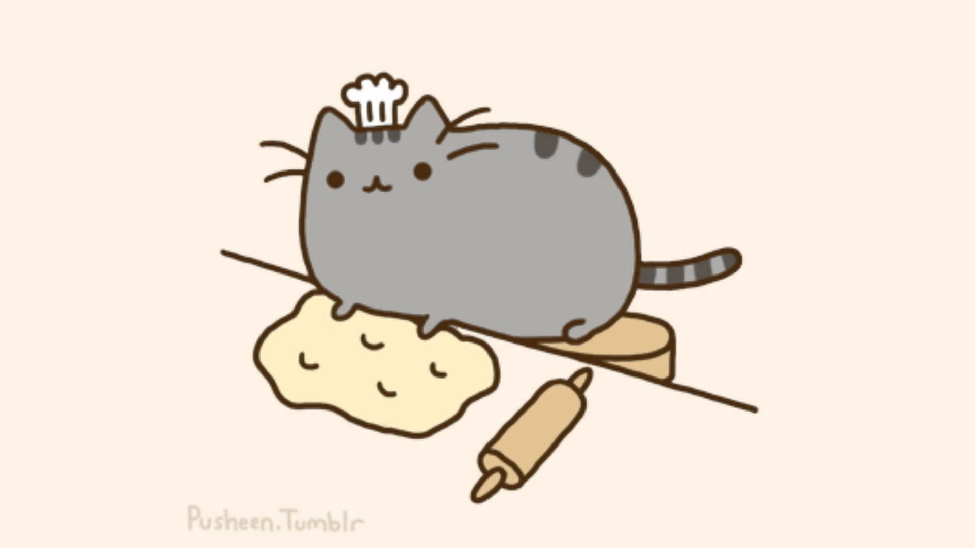 Go Back > Images For > Pusheen The Cat Wallpaper 
 - Pusheen The Cat - HD Wallpaper 