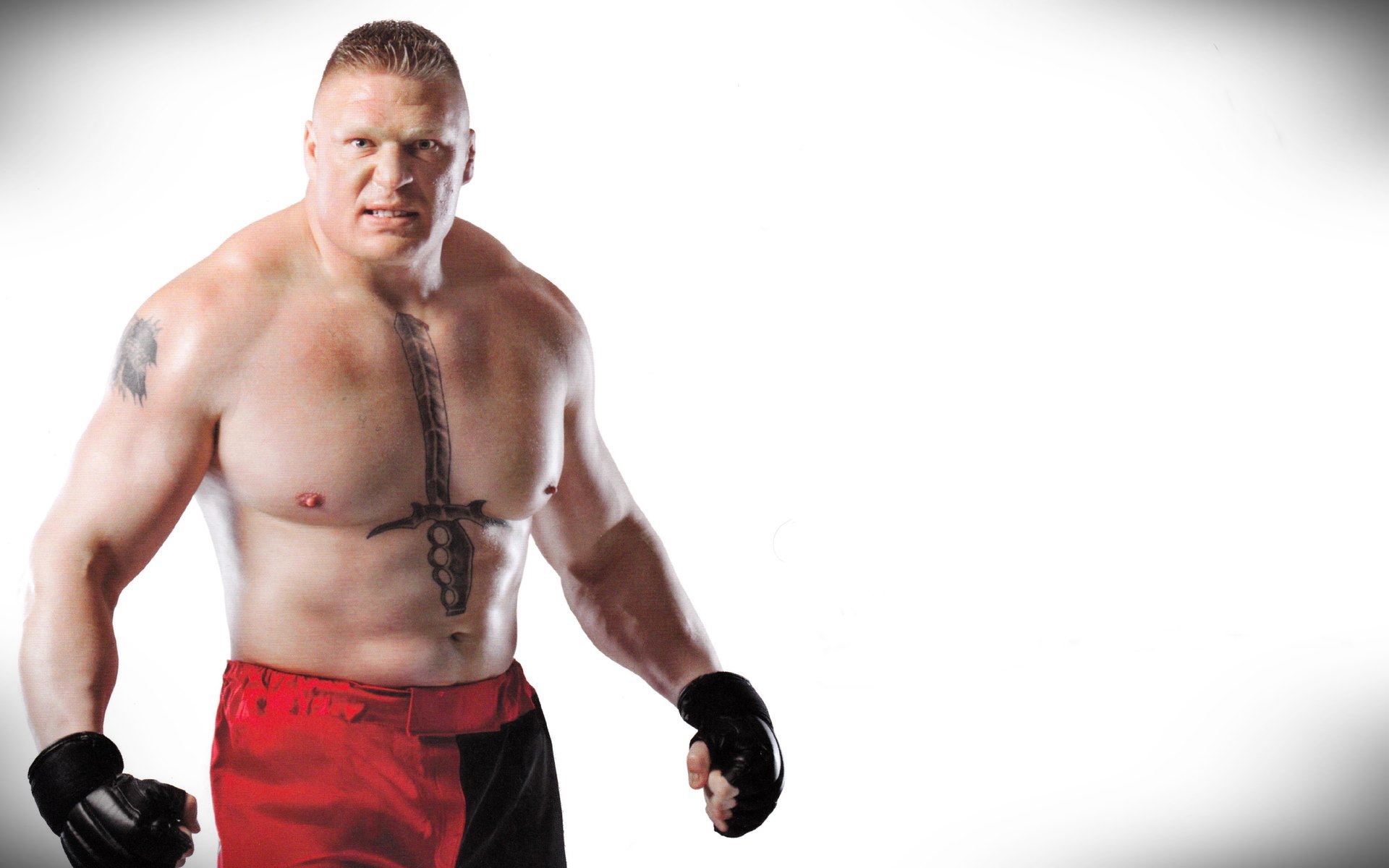 New Pic Brock Lesnar Hd - HD Wallpaper 