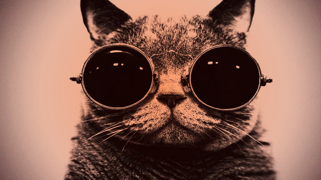 Bamf Cat With Sunglasses Toaster Hd Wallpaper - Nyan Cat Cool - HD Wallpaper 