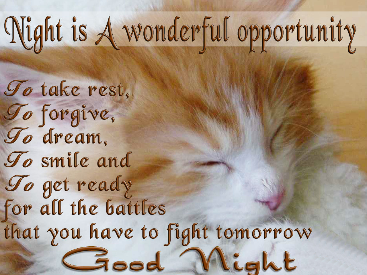 Free Good Night Wallpapers - Download Images Of Good Night Wishes - HD Wallpaper 
