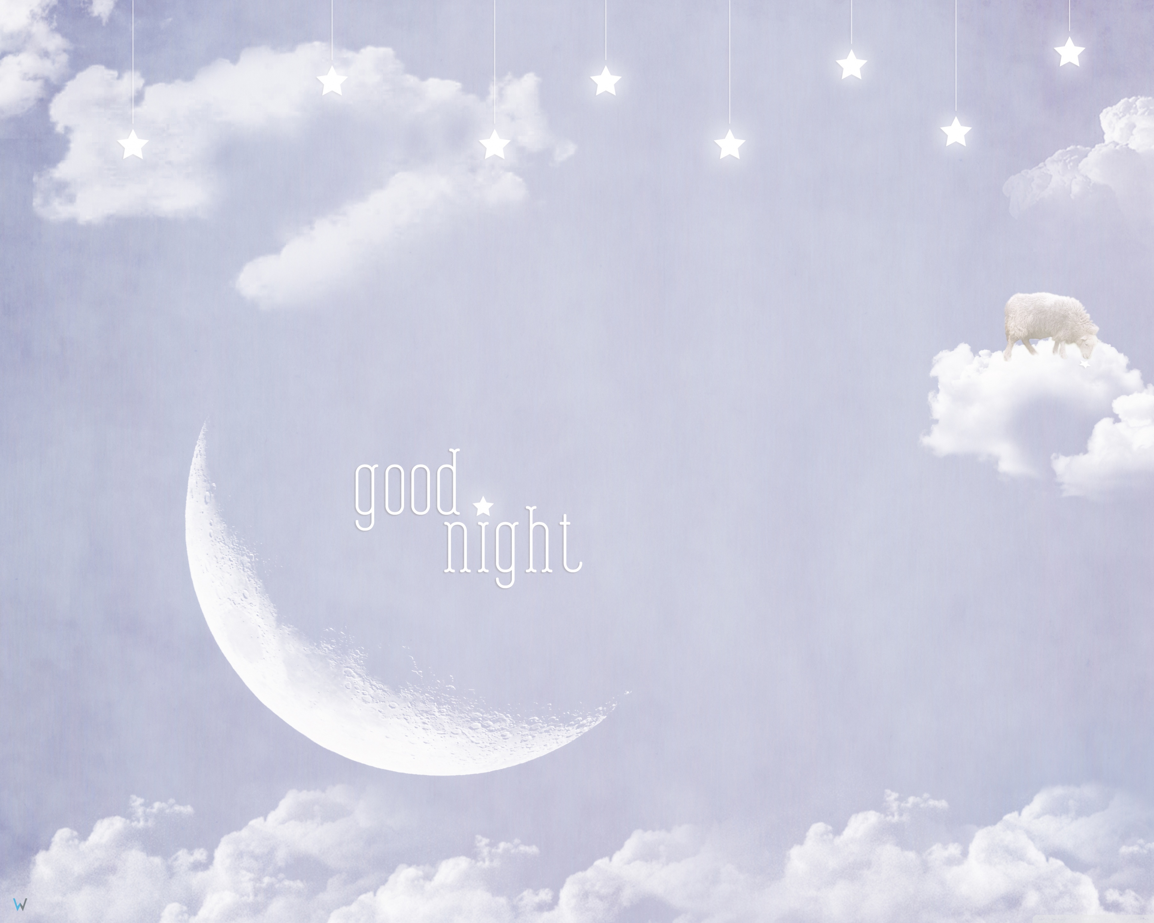 Good Night Standard - HD Wallpaper 
