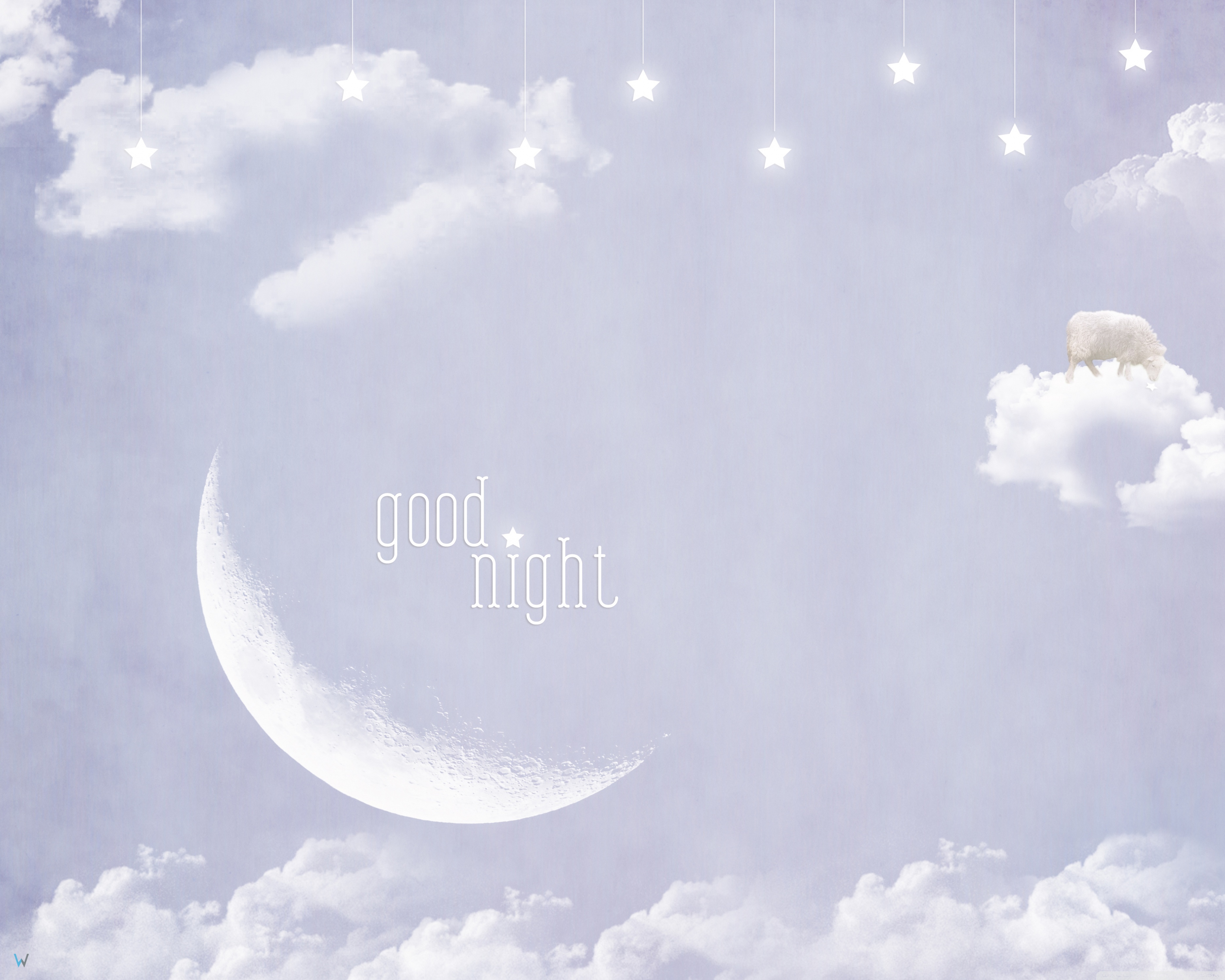 Good Night Standard - HD Wallpaper 