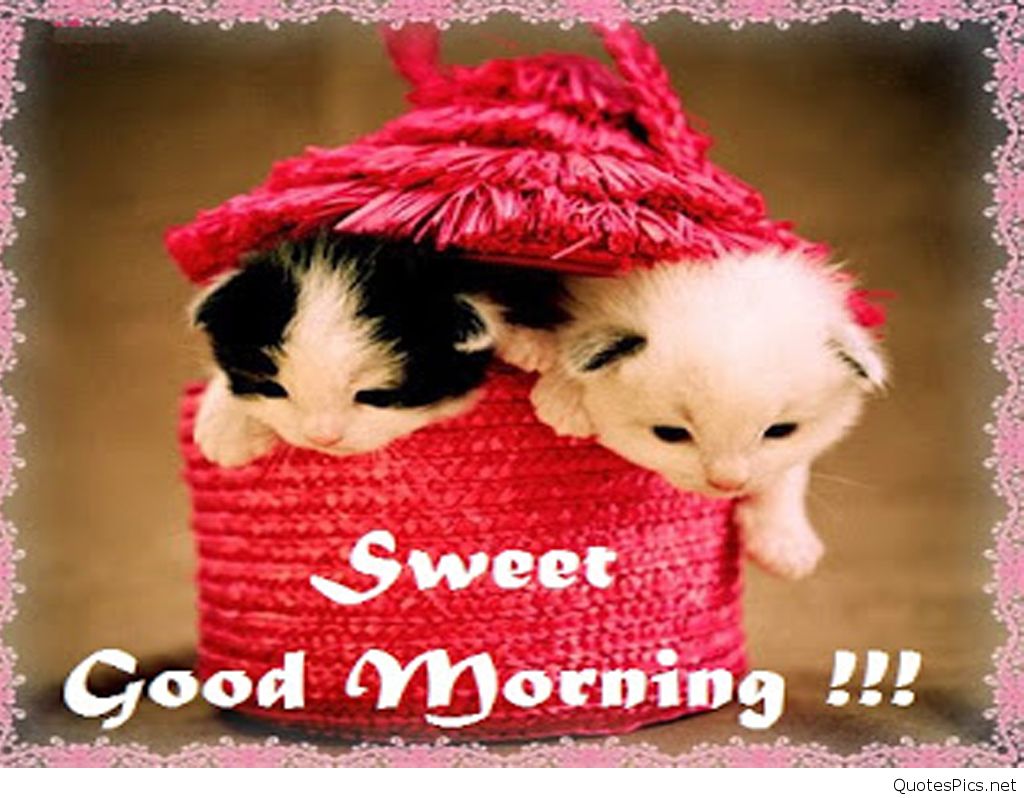 Good Morning Wallpapers Hd Images, Sayings - Good Morning Anu - HD Wallpaper 