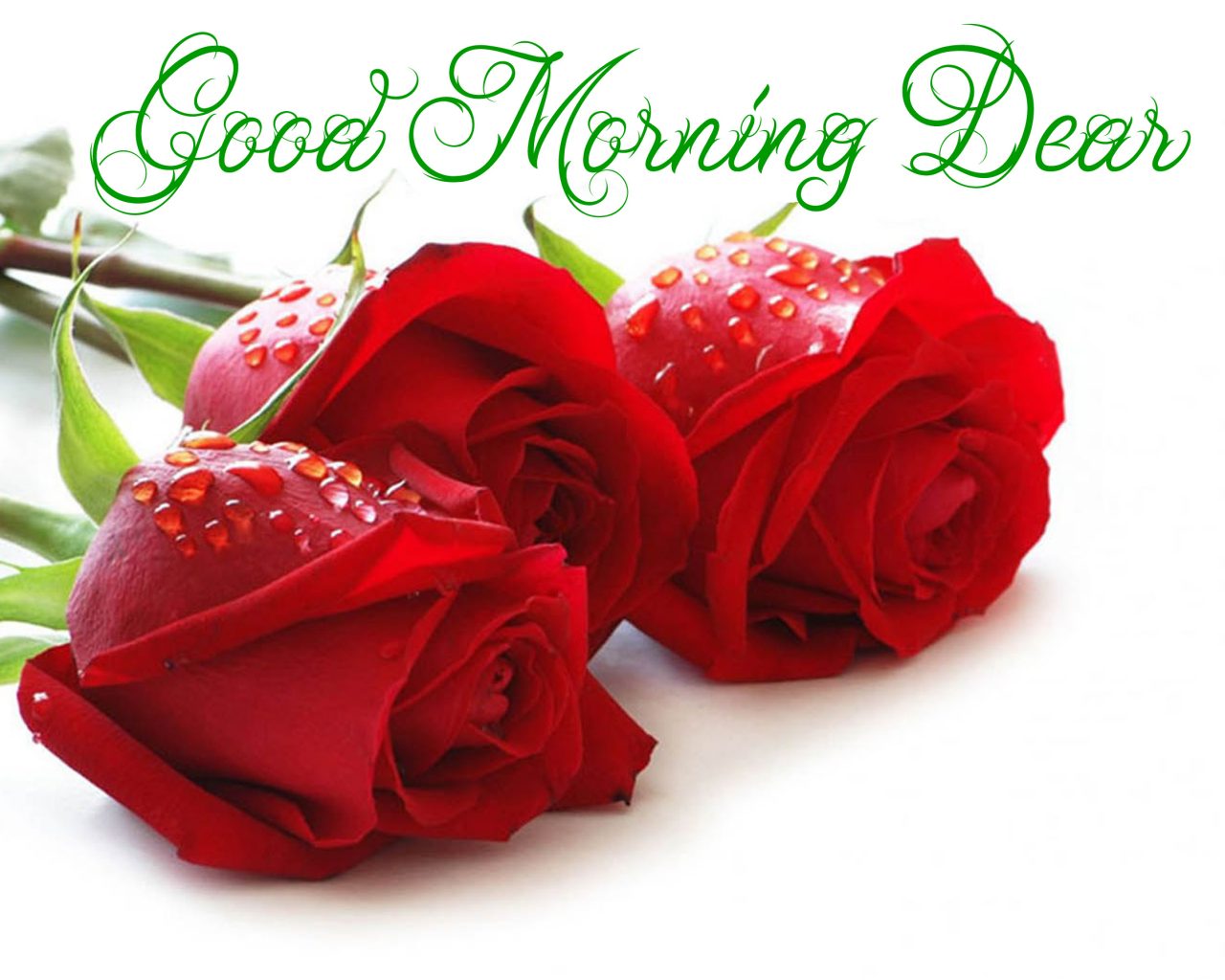Good Morning Dear Red Roses With Water Droplets - Good Morning Image Hd With Rose - HD Wallpaper 
