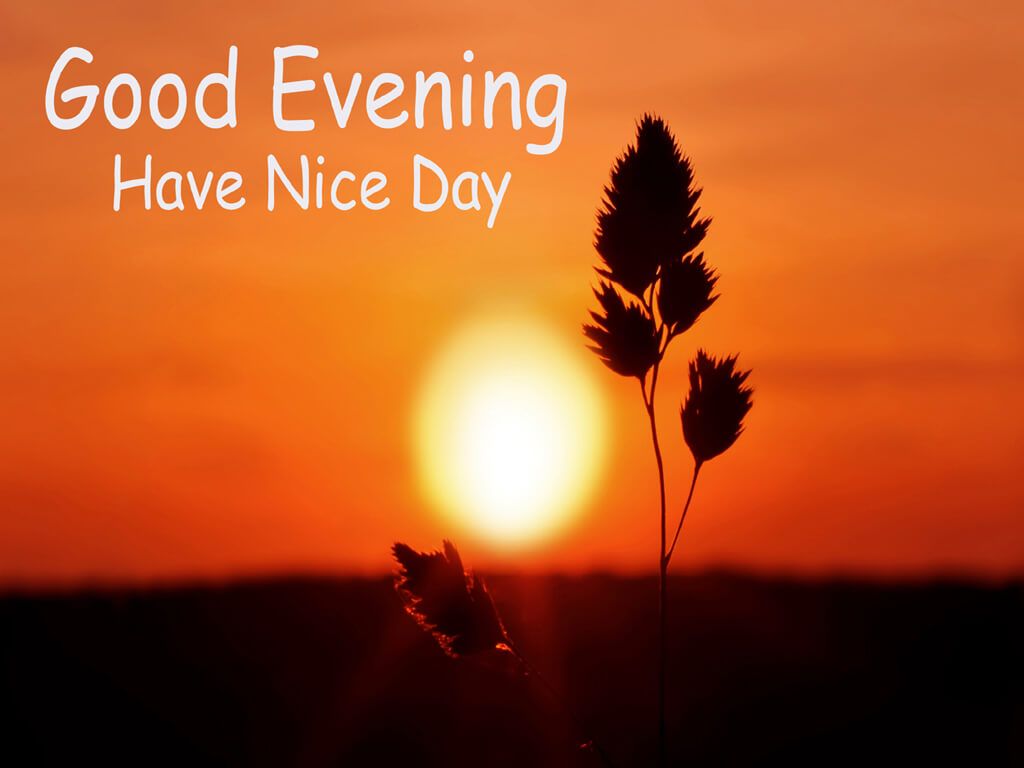 Good Evening Images Download - HD Wallpaper 