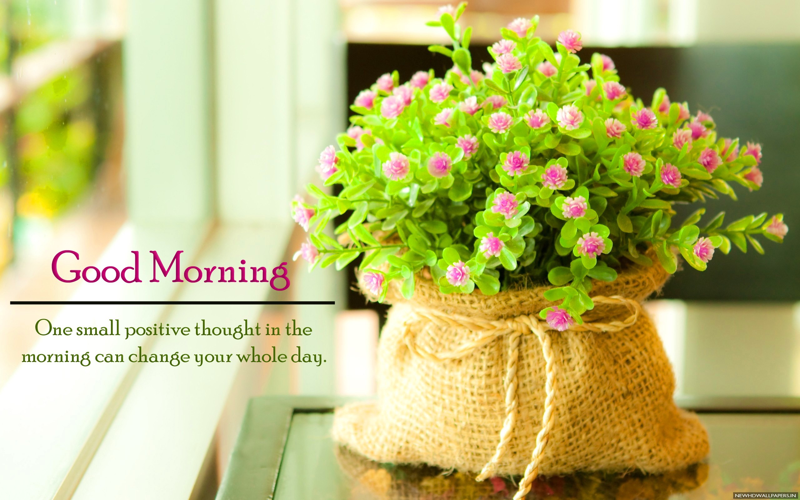 Best Good Morning Quote Flowers Hd Wallpaper New Hd - Good Morning Best Image Hd - HD Wallpaper 