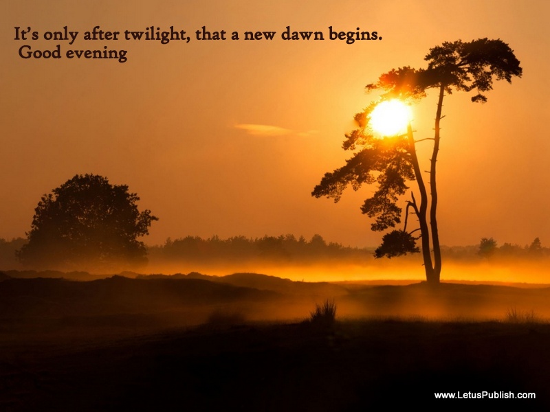 Foggy Sunset Wallpaper - Best Evening - HD Wallpaper 