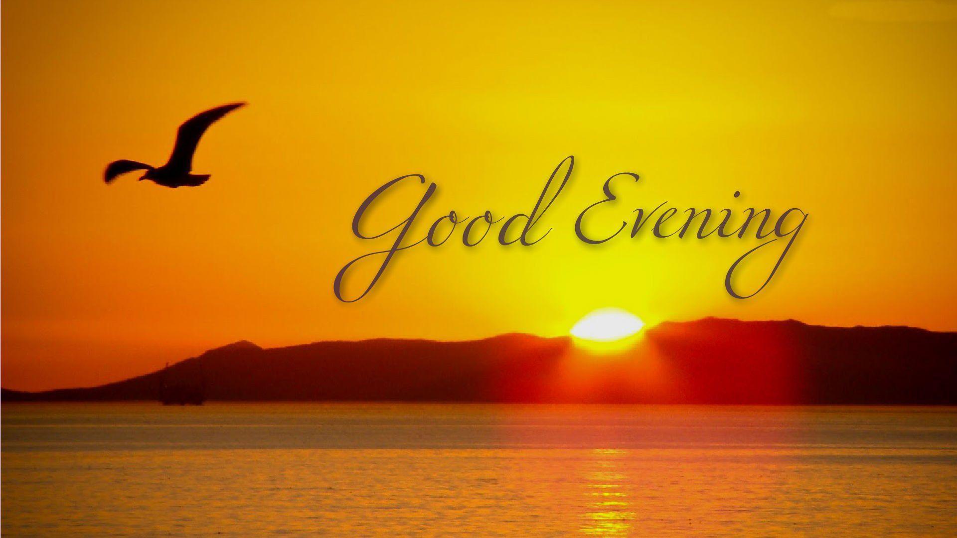 Best*} Good Evening Sms Shayari Quotes In Hindi - Hd Wallpaper Good Evening - HD Wallpaper 
