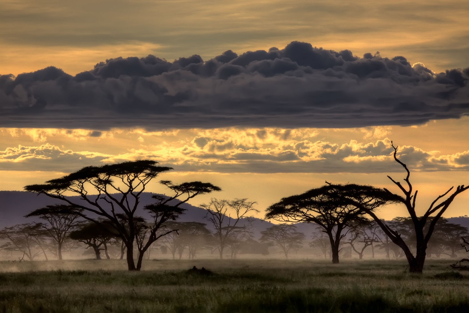 Photo Wallpaper Good Evening Tanazania - Africa Landscape Piece Puzzle - HD Wallpaper 