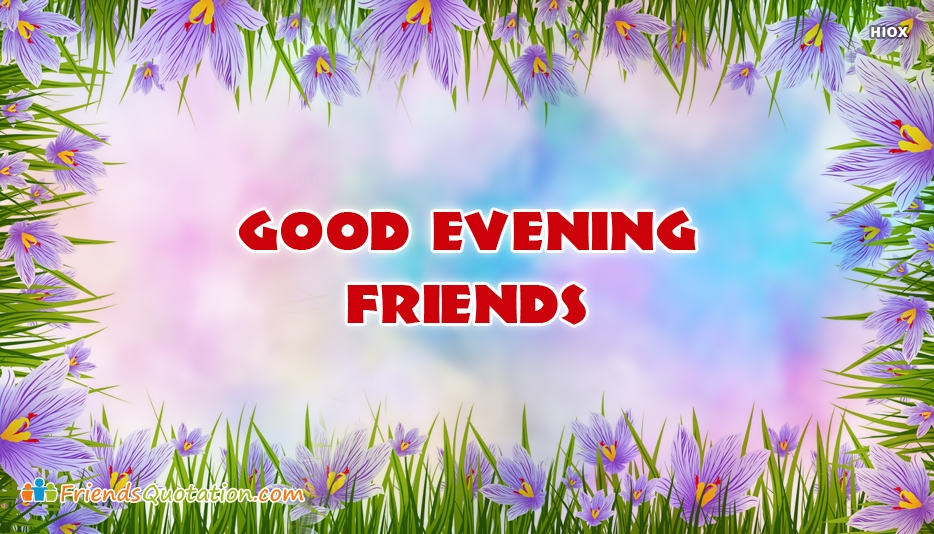 Good Evening Friends Wallpapers Hd - Crocus - HD Wallpaper 