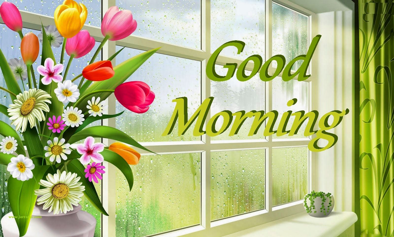 Good Morning Wallpaper Images Download - HD Wallpaper 