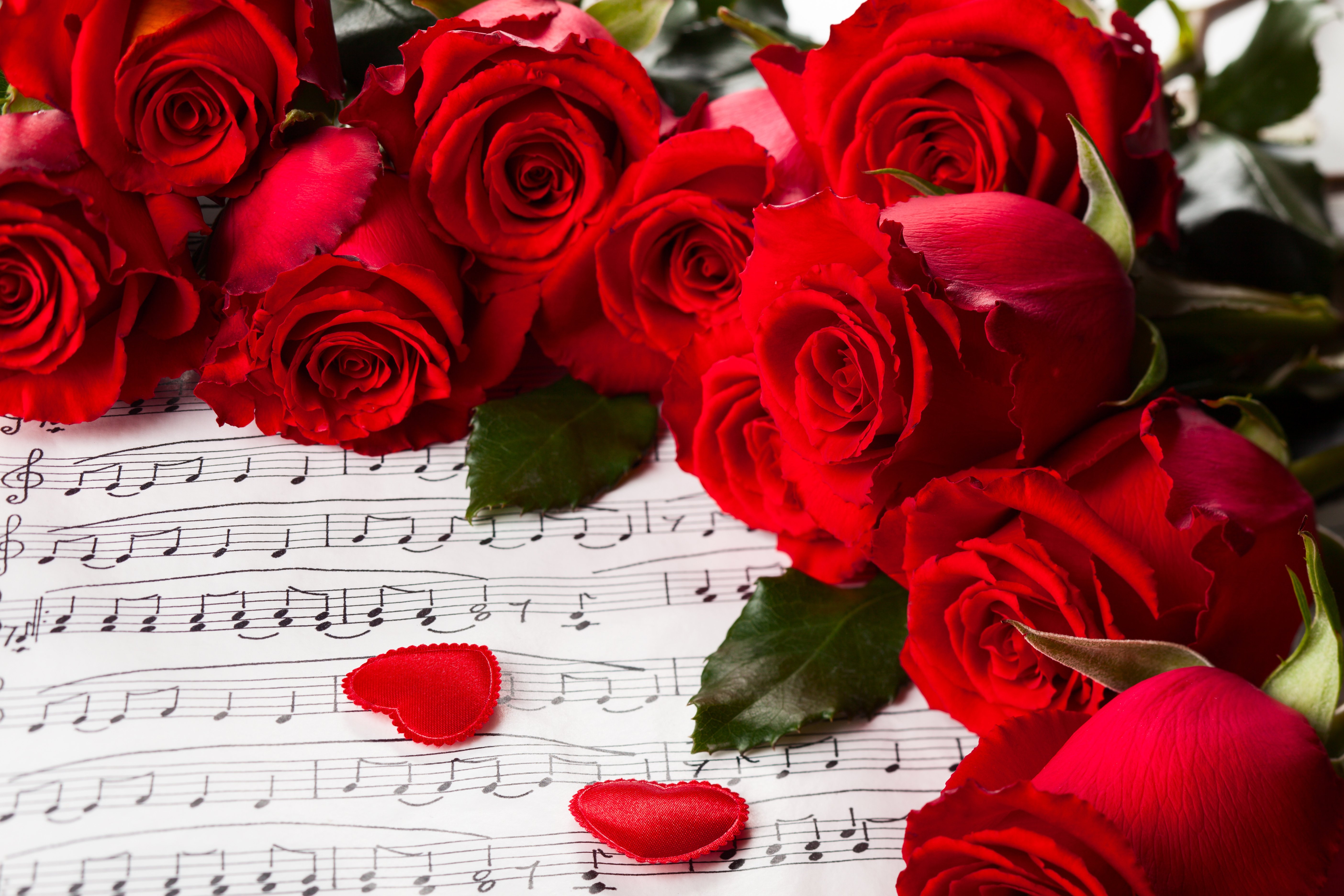 Rose Day Sweet Hd Wallpapers - Music And Rose Background - HD Wallpaper 
