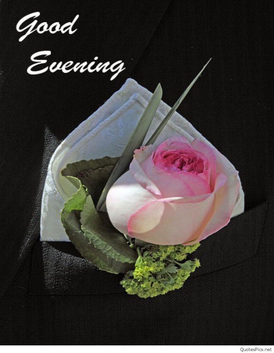 Good Afternoon Wallpaper - Good Evening Images With Rose - HD Wallpaper 