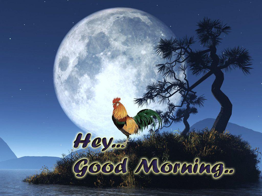 Good Morning Wishes Wallpapers Free Download - Good Morning Hd Photo Free Download - HD Wallpaper 