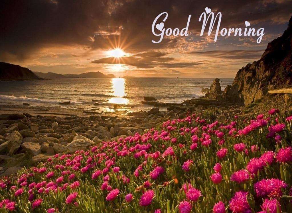 Download Wallpapers Of Good Morning - Good Morning Images Download Hd - HD Wallpaper 