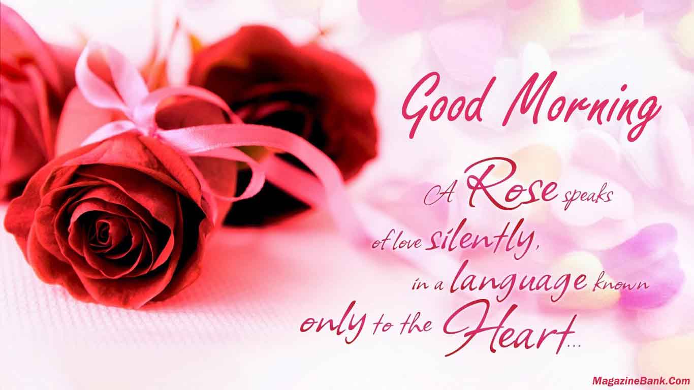 Good Morning Wallpaper Romantic - Rose Speaks Of Love Silently He - HD Wallpaper 