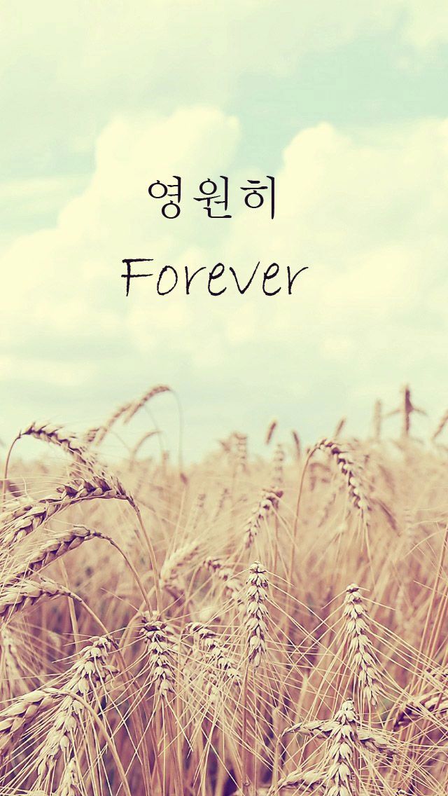 Fond D Écran Coréen - HD Wallpaper 