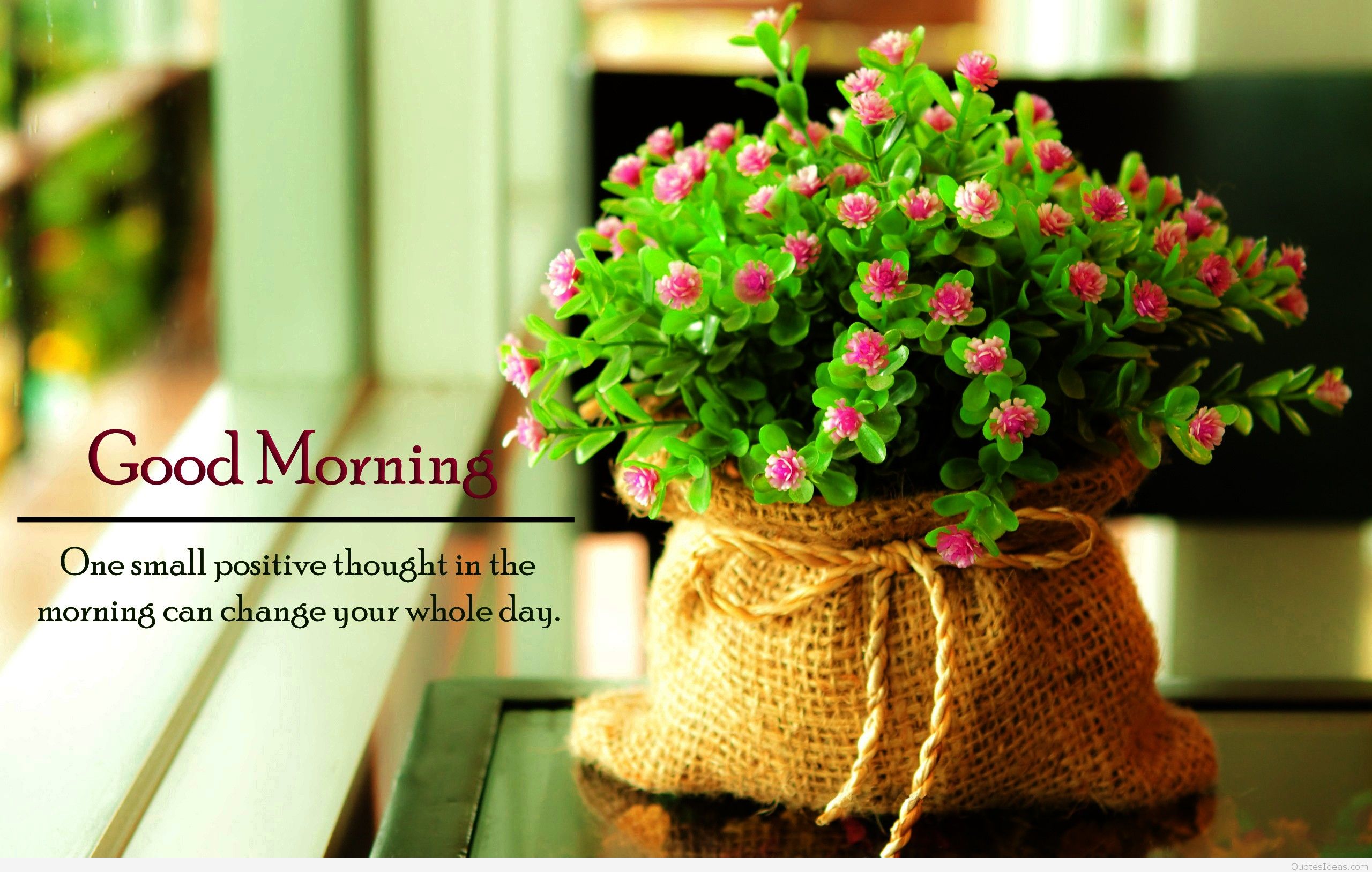 Good Morning Best Wishes - HD Wallpaper 