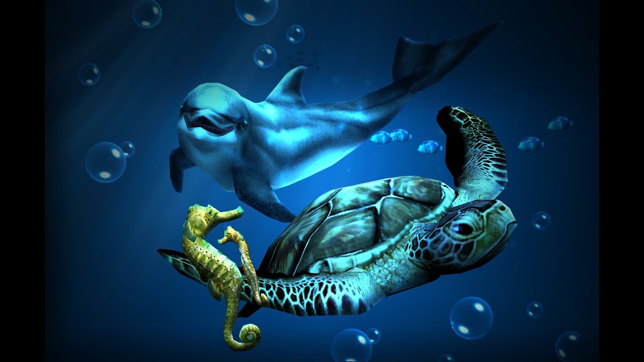 Dolphin And Sea Turtle - HD Wallpaper 