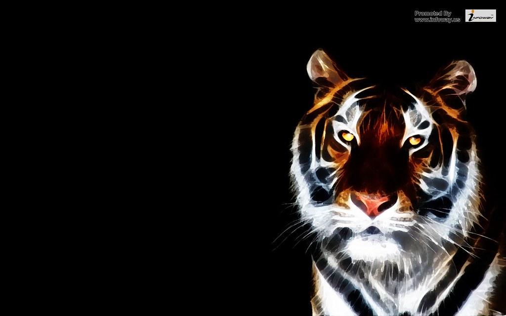 Animal Glow In The Dark - HD Wallpaper 