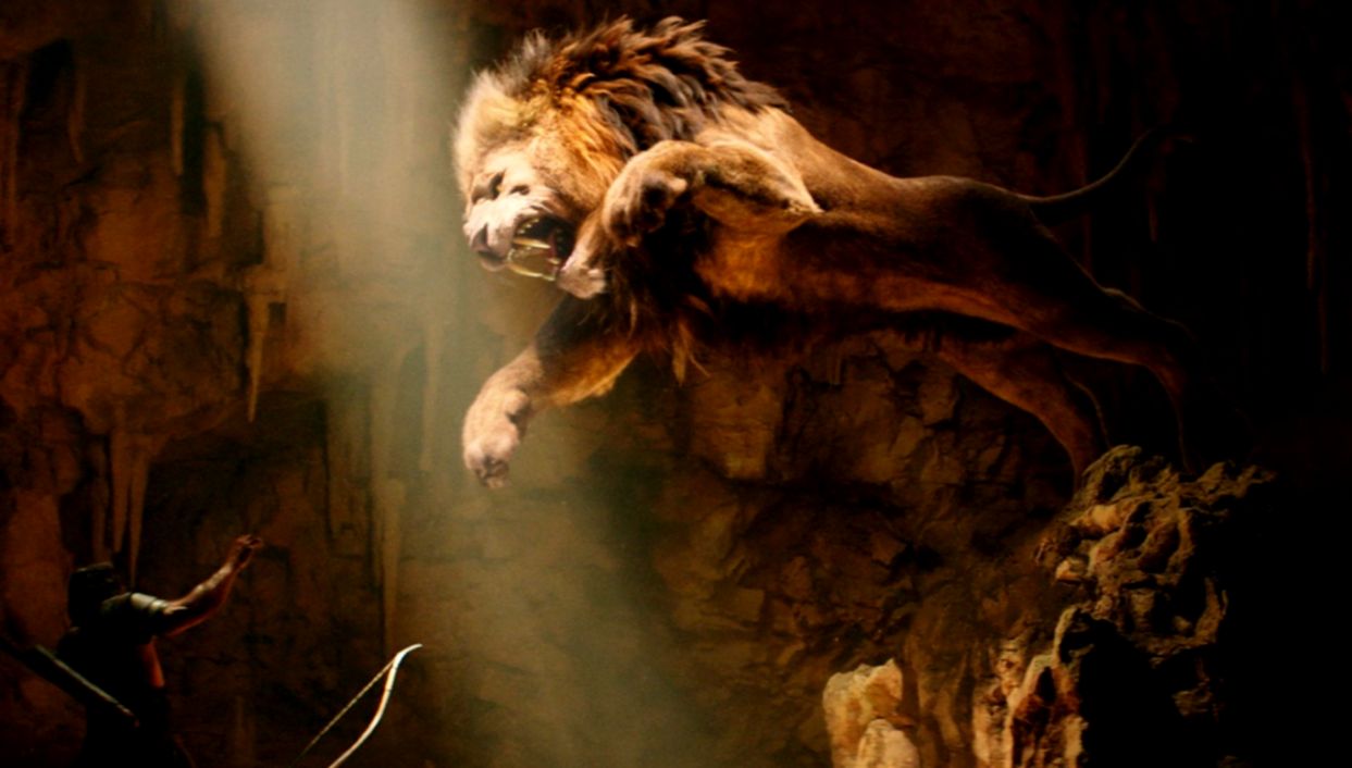 Lion Hd Wallpapers For Download Techpandey A Technology - 1080p Lion - HD Wallpaper 