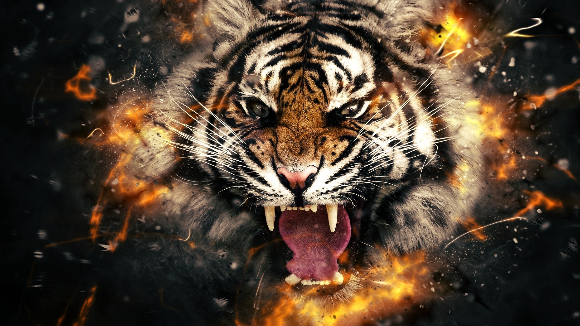 Wallpapers Tiger Hd Group - Tiger Wallpaper 4k - HD Wallpaper 