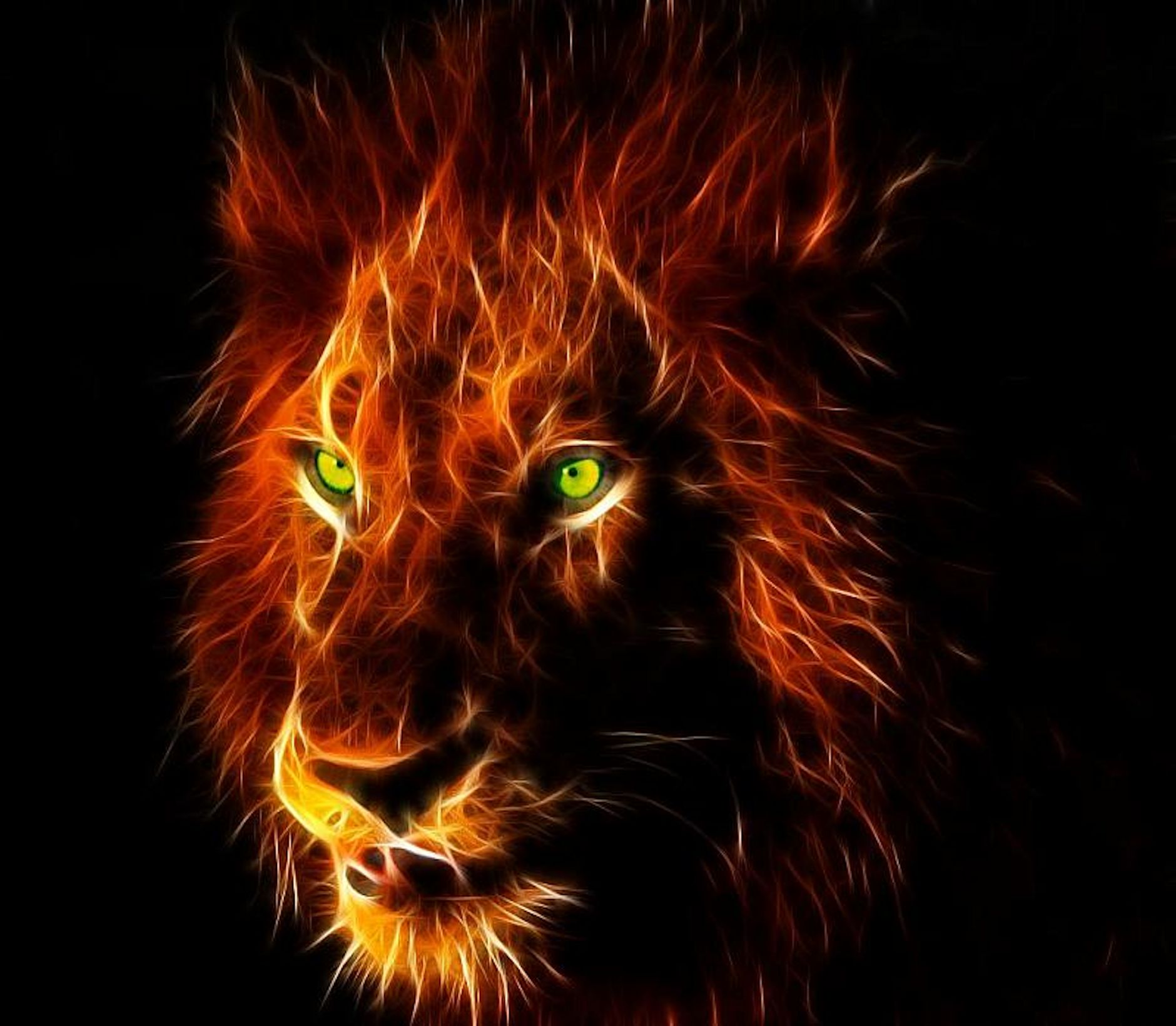 3d Lion Hd Wallpapers5 - I M Dangerous When I M Focused - HD Wallpaper 