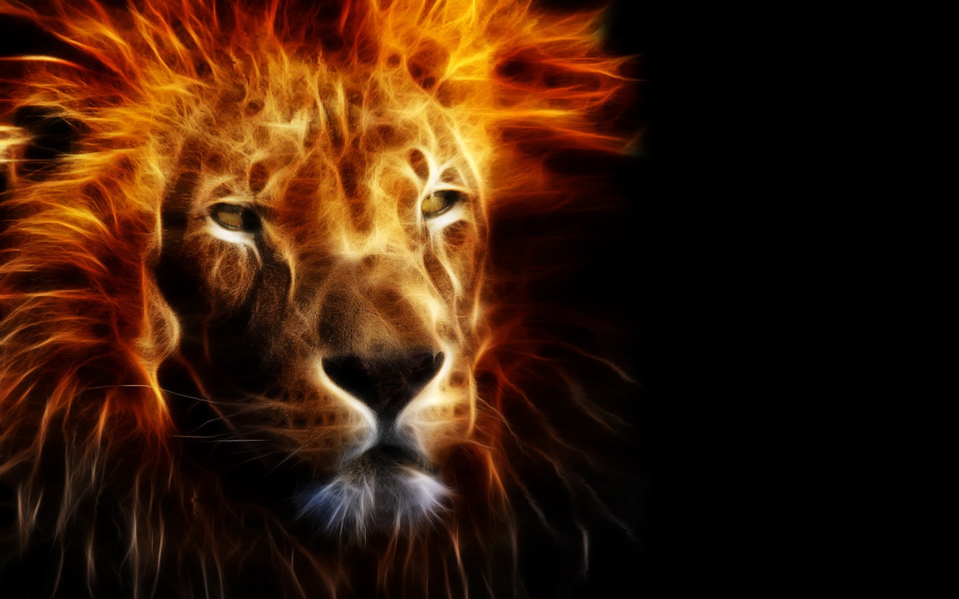 Black Background Lion Images Hd - HD Wallpaper 