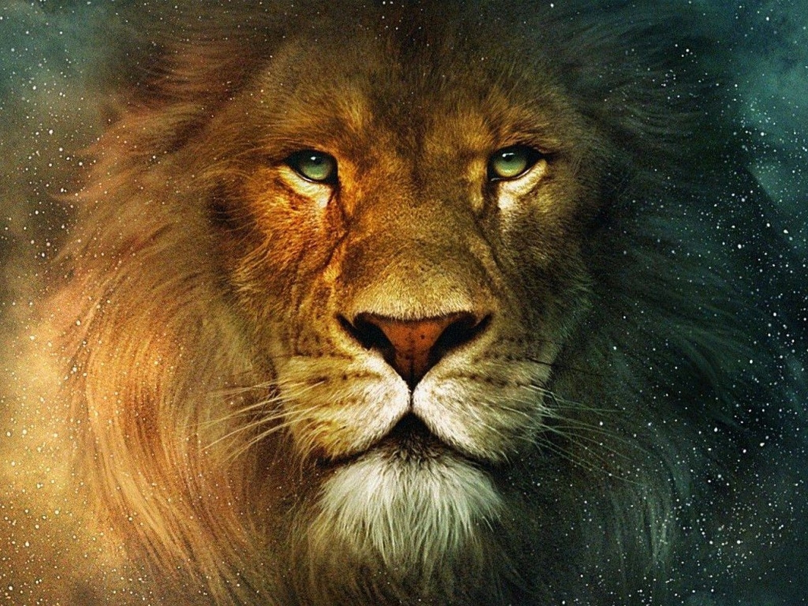 Lion Face Hd - HD Wallpaper 