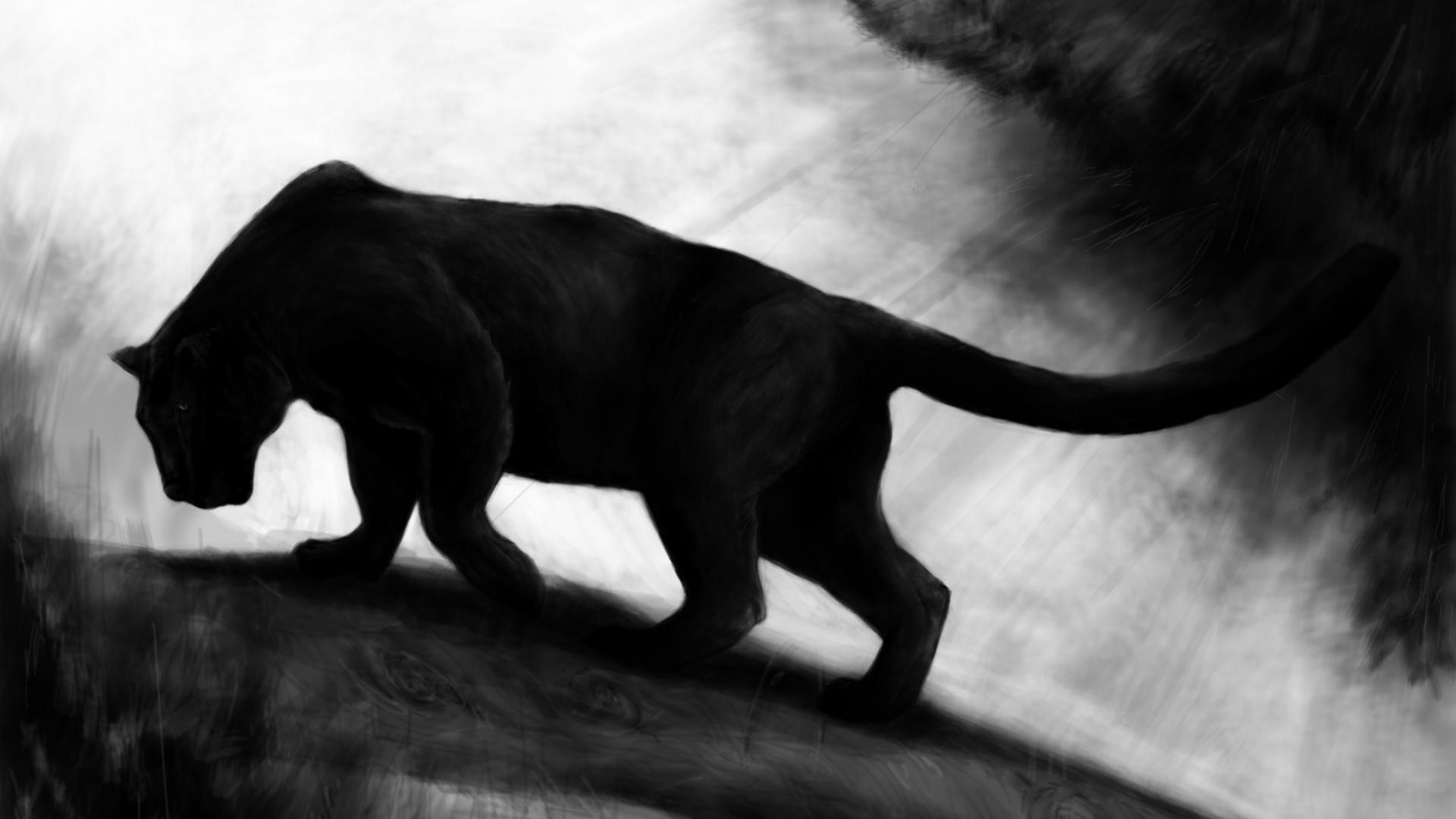 Black Panther Wallpaper Animal - 1920x1080 Wallpaper 