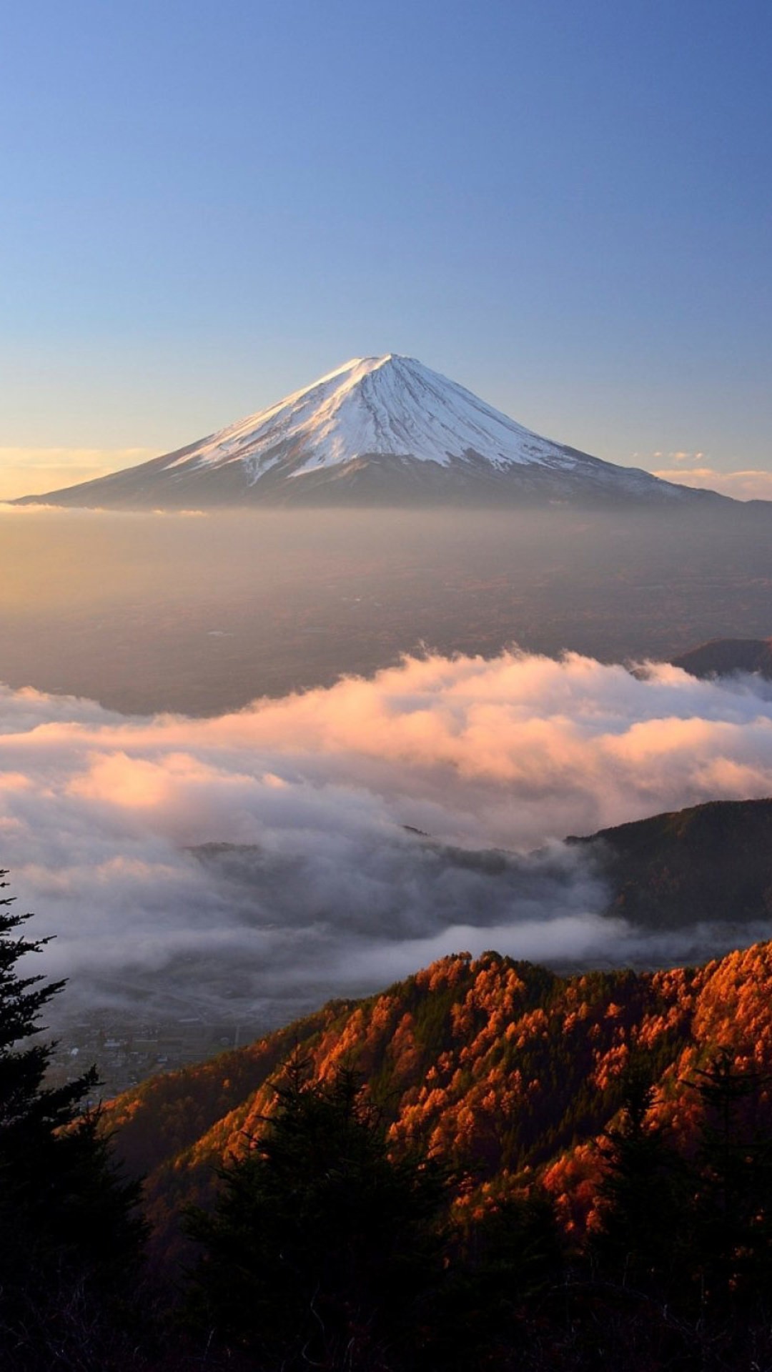 Mount Fuji Hd Qhd Wallpaper - Mt Fuji Iphone X - HD Wallpaper 