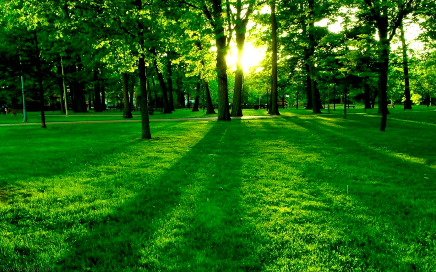 Nature Background - 1024x640 Wallpaper - teahub.io