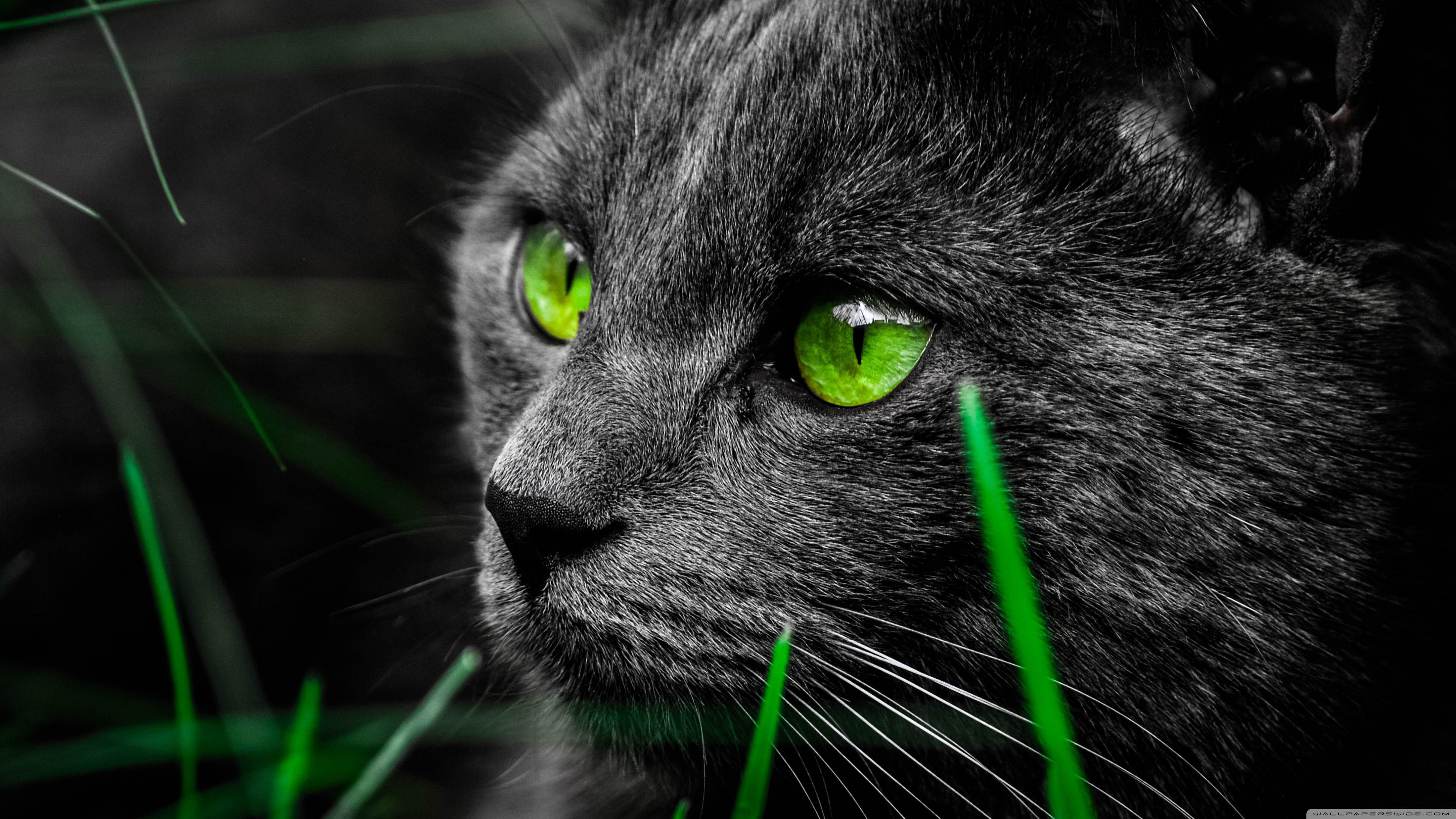 4k Ultra Hd - 3840x2160 Wallpaper 4k Ultra Hd - 3840x2160 Wallpaper