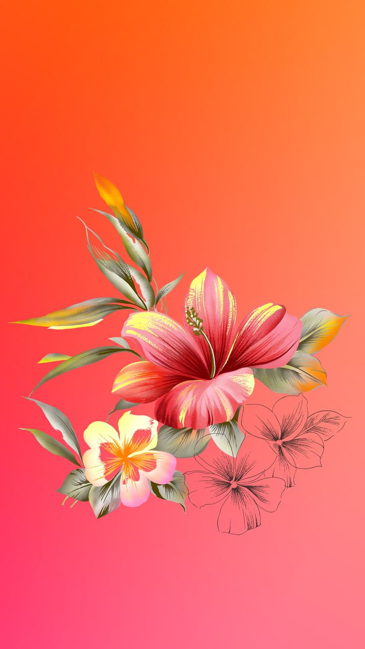 Wallpapers Samsung Galaxy S7 - Hintergrund Handy Blumen Bilder - HD Wallpaper 