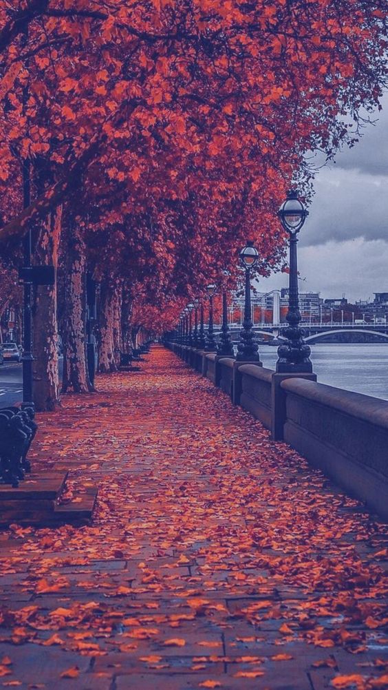 Cool Background For Photos Places - HD Wallpaper 