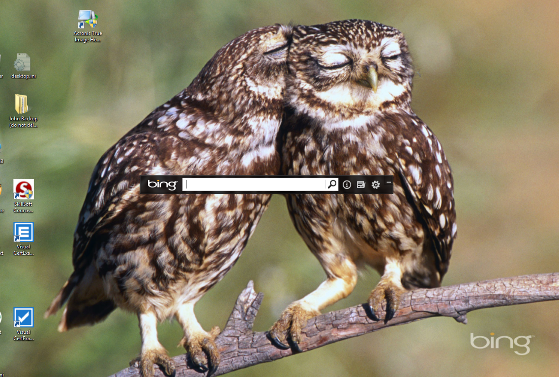 Bing Desktop Wallpaper Example - Little Owls - HD Wallpaper 