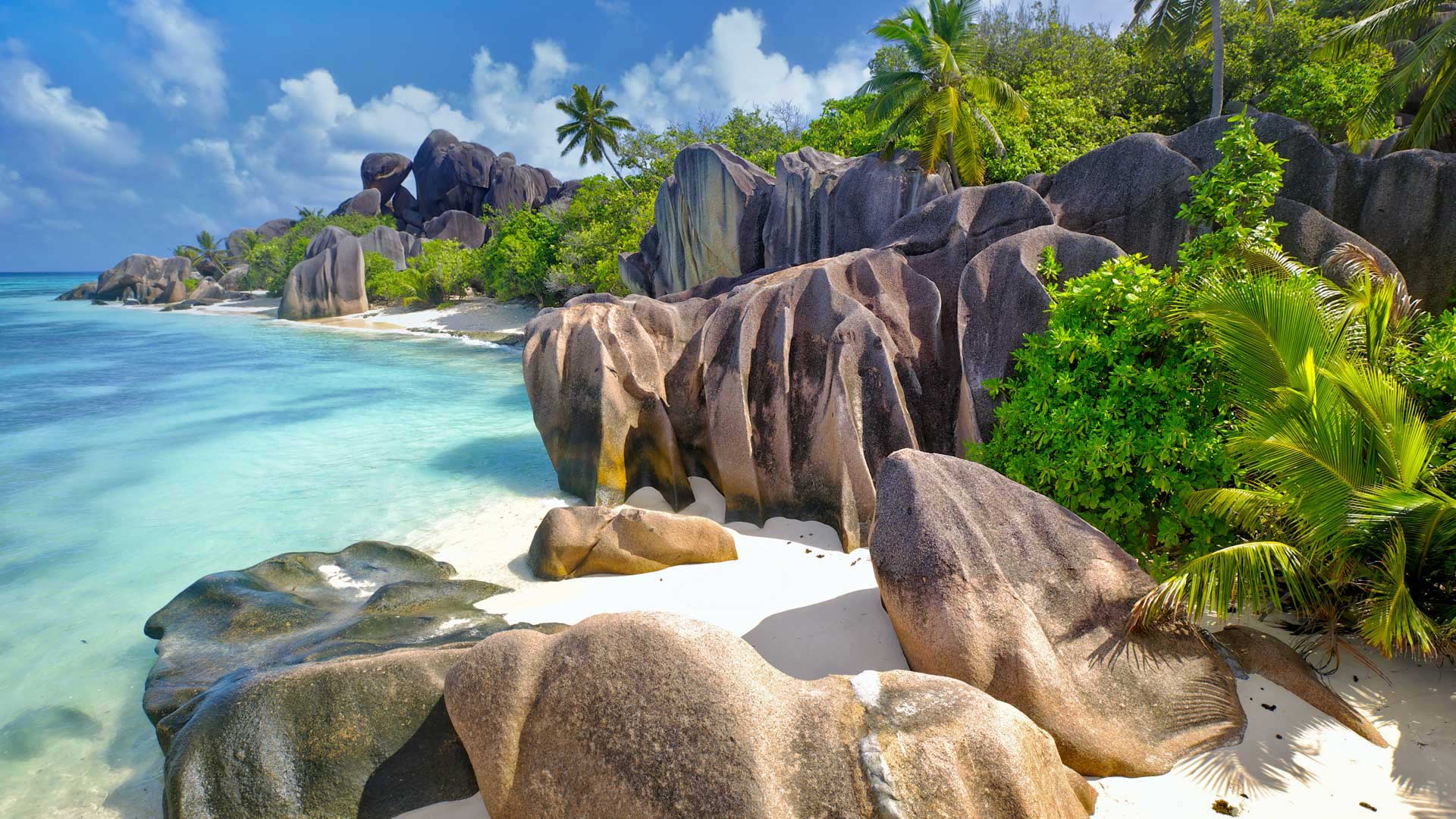 Bing Wallpaper - HD Wallpaper 