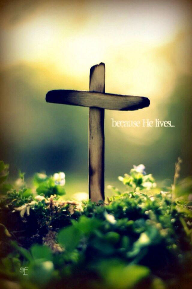 Jesus Cross Wallpaper Iphone - Jesus Hd Wallpapers For Iphone - 640x960 Wallpaper Jesus Cross Wallpaper Iphone - Jesus Hd Wallpapers For Iphone - 640x960 Wallpaper