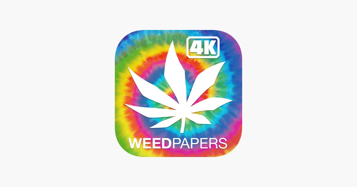Wallpaper - HD Wallpaper 