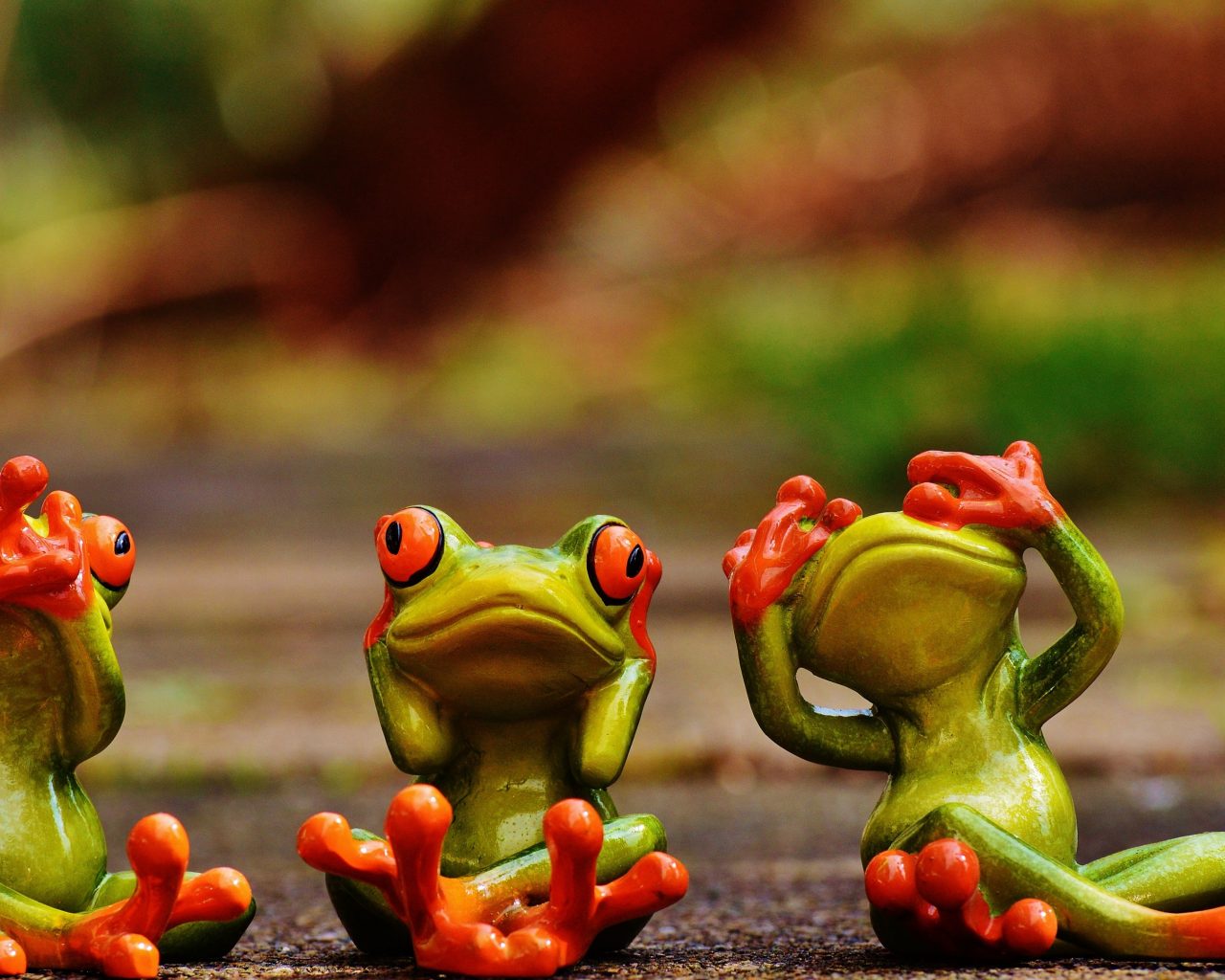 Frog Red Eyes Cute - HD Wallpaper 